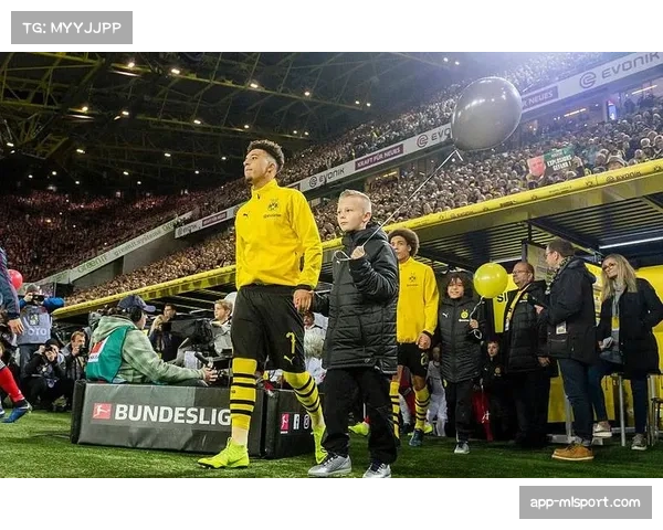 多特蒙德粉丝勇夺德甲电子竞技联赛决赛桂冠，点燃电竞赛场热情